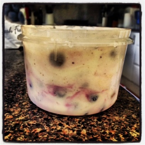 Blueberry, Kibble & Yoghurt Icecream (1)